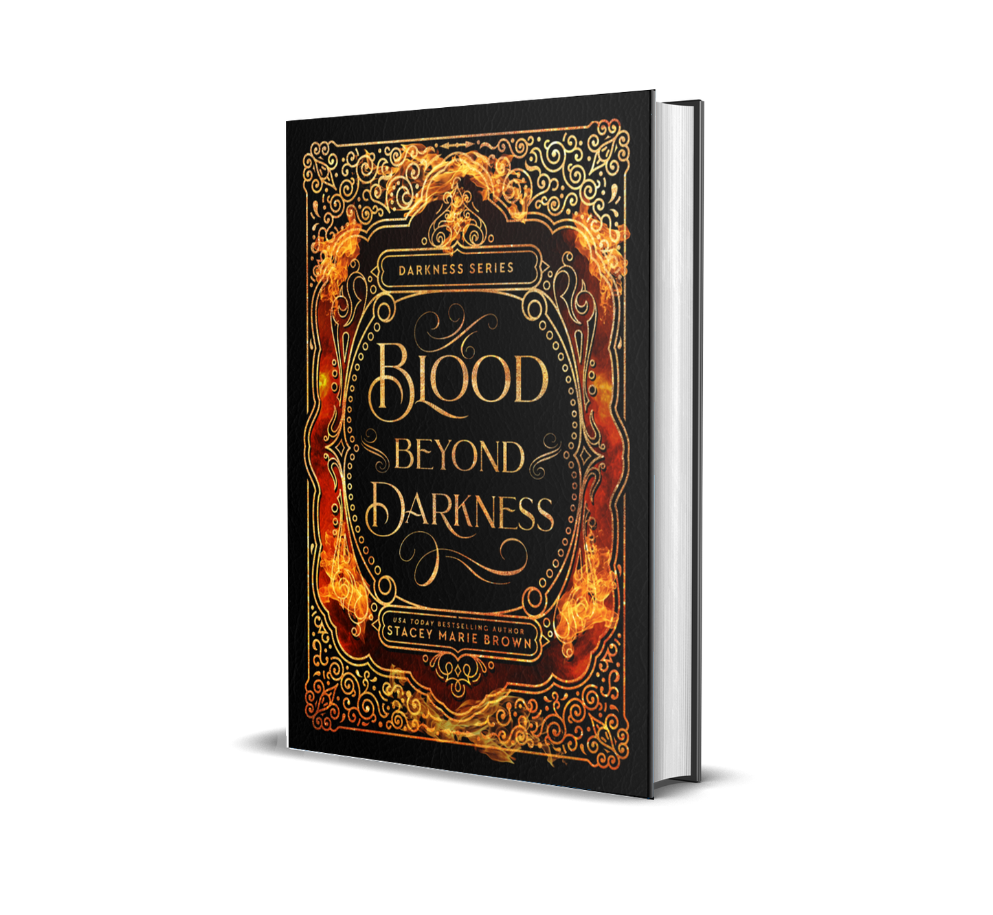 Blood Beyond Darkness (Darkness Series, #4)