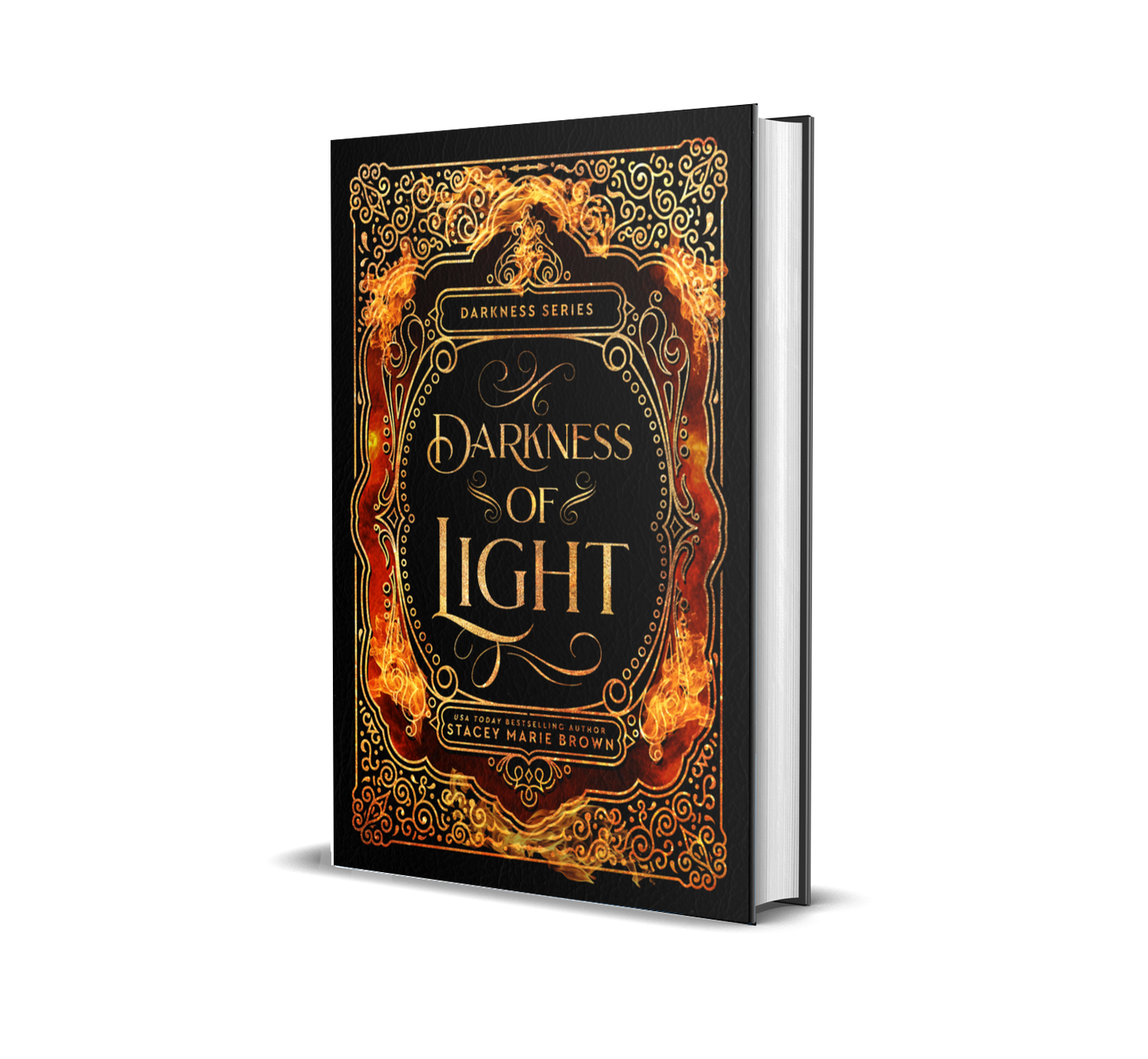 Darkness of Light (Darkness Series, #1)