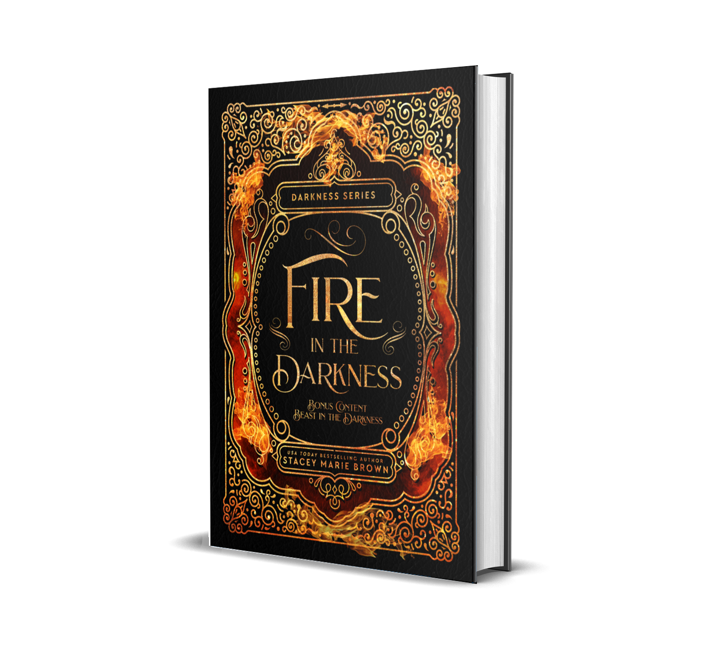 Fire in the Darkness (Darkness Series, #2)