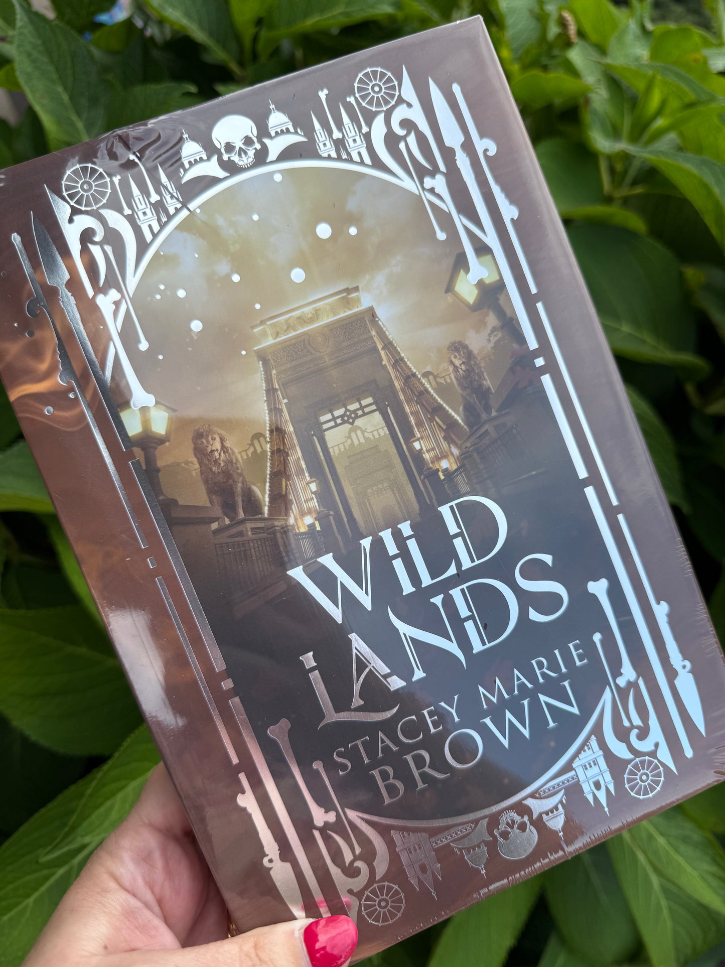 Arcane Special Edition Wild Lands